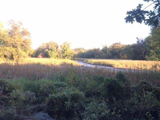 A grassy field with a river running through it.