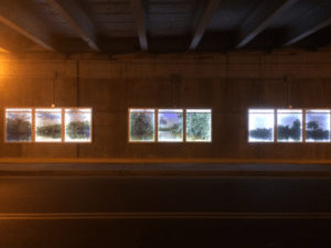 Four windows on the side of a road at night.