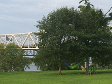 People in a Hammock in The Distance Under a Tree