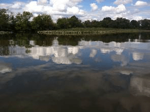 Daytime View of Water with Trees in The Background