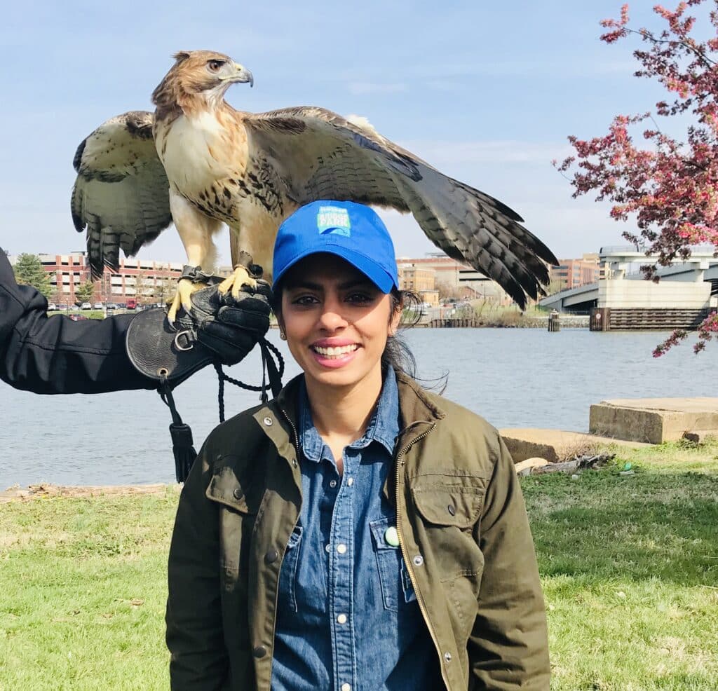 A woman with a red tailed hawk on her shoulder.