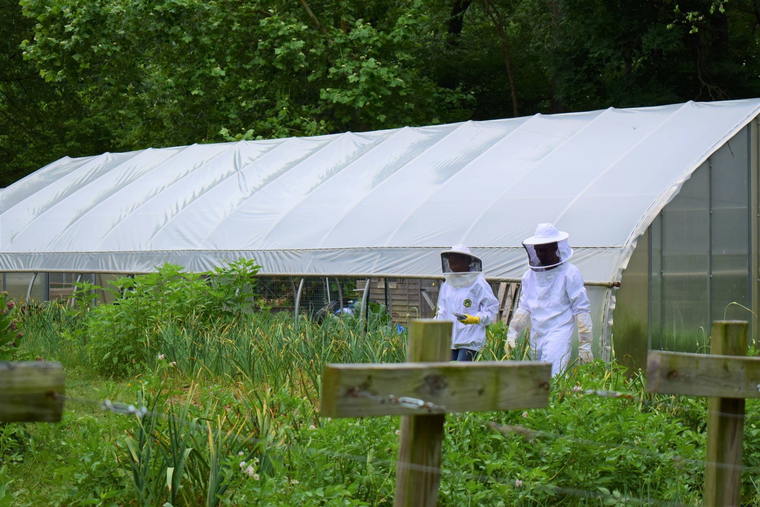 BBAR Farms Bee Keeping