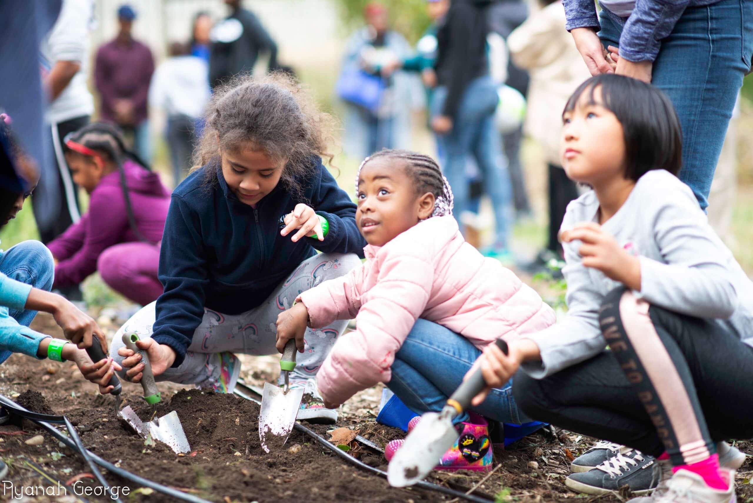 A group of children planting a tree in the dirt at Building Bridges Farm, a community-driven garden for healthy food access.