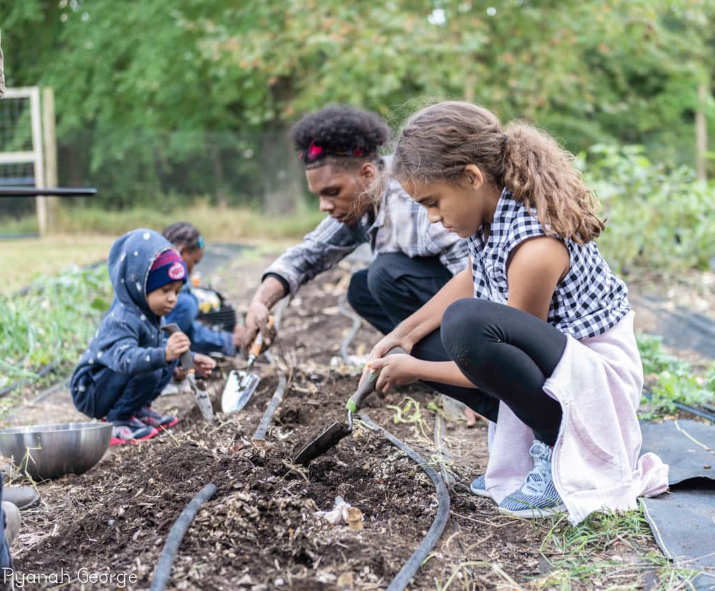 Building Bridges Farm is a community-driven garden initiative that brings together children and adults to work towards healthy food access.
