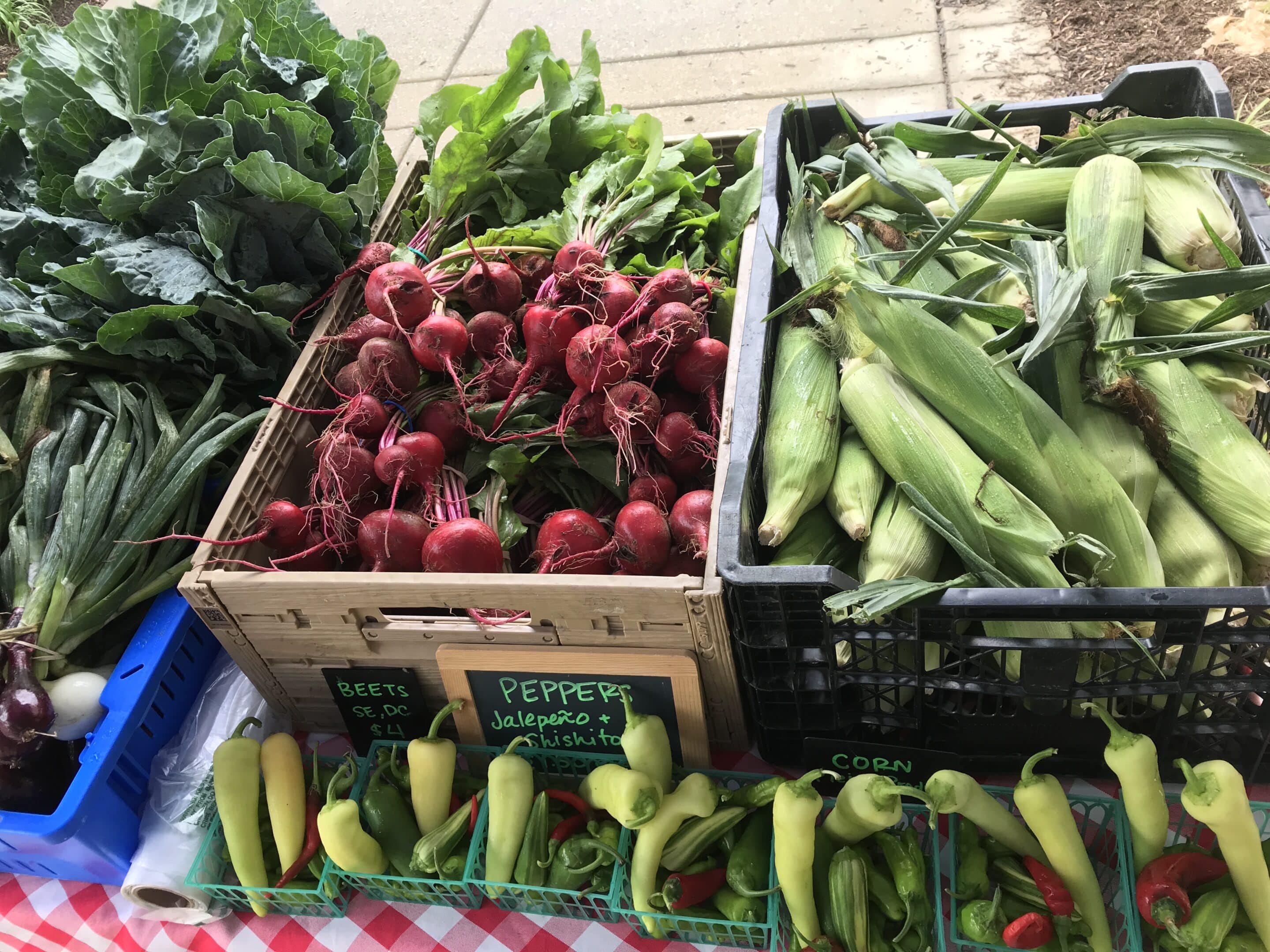 Fresh produce including beets, corn, and peppers displayed on tables at a farmers market.