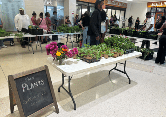 Indoor plant giveaway event with tables displaying various plants. A sign reads "Free Plants, Gardening Advice." People are browsing the selection.