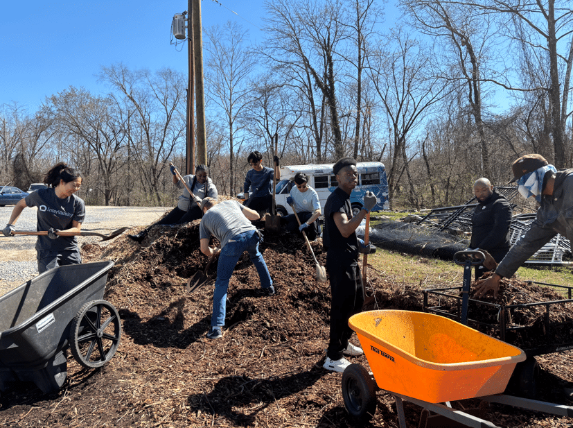 A group of people works together to move mulch with shovels and wheelbarrows on a sunny day, with trees and a parked vehicle in the background.